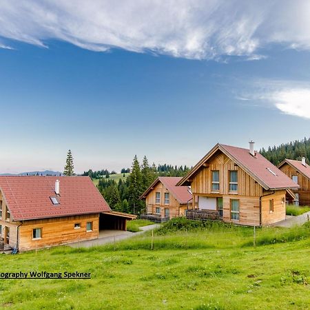 Posch Alpe Beautiful Holiday Home In Weinebene With Sauna מראה חיצוני תמונה