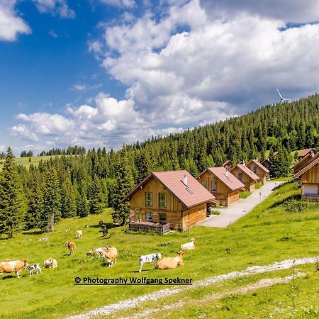 Posch Alpe Beautiful Holiday Home In Weinebene With Sauna מראה חיצוני תמונה