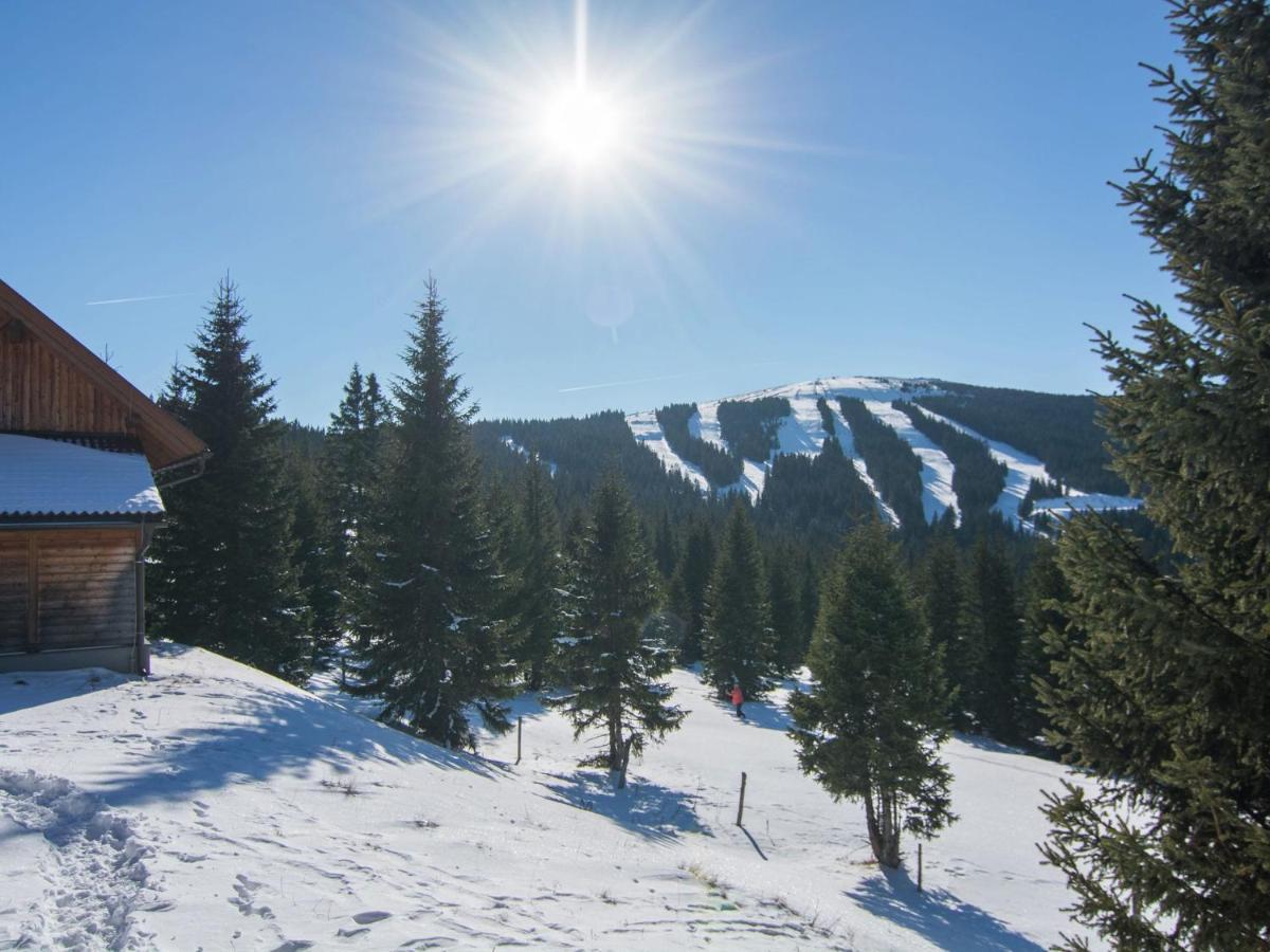 Posch Alpe Beautiful Holiday Home In Weinebene With Sauna מראה חיצוני תמונה