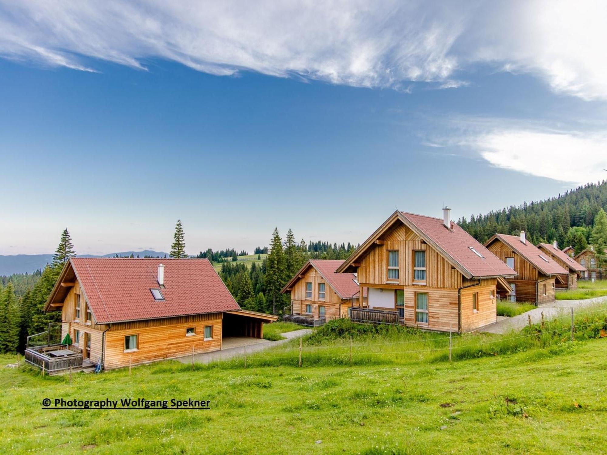 Posch Alpe Beautiful Holiday Home In Weinebene With Sauna מראה חיצוני תמונה