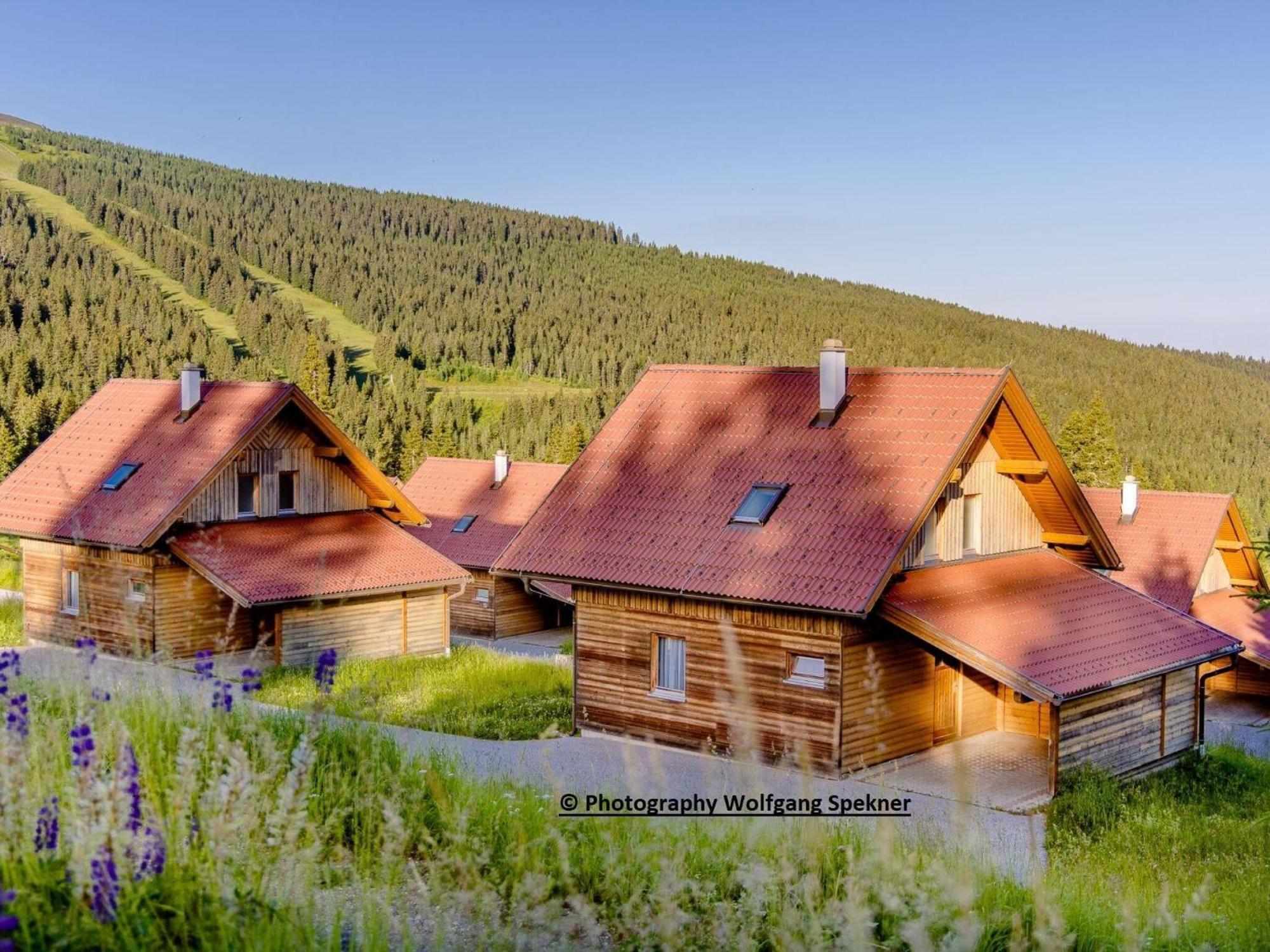 Posch Alpe Beautiful Holiday Home In Weinebene With Sauna מראה חיצוני תמונה