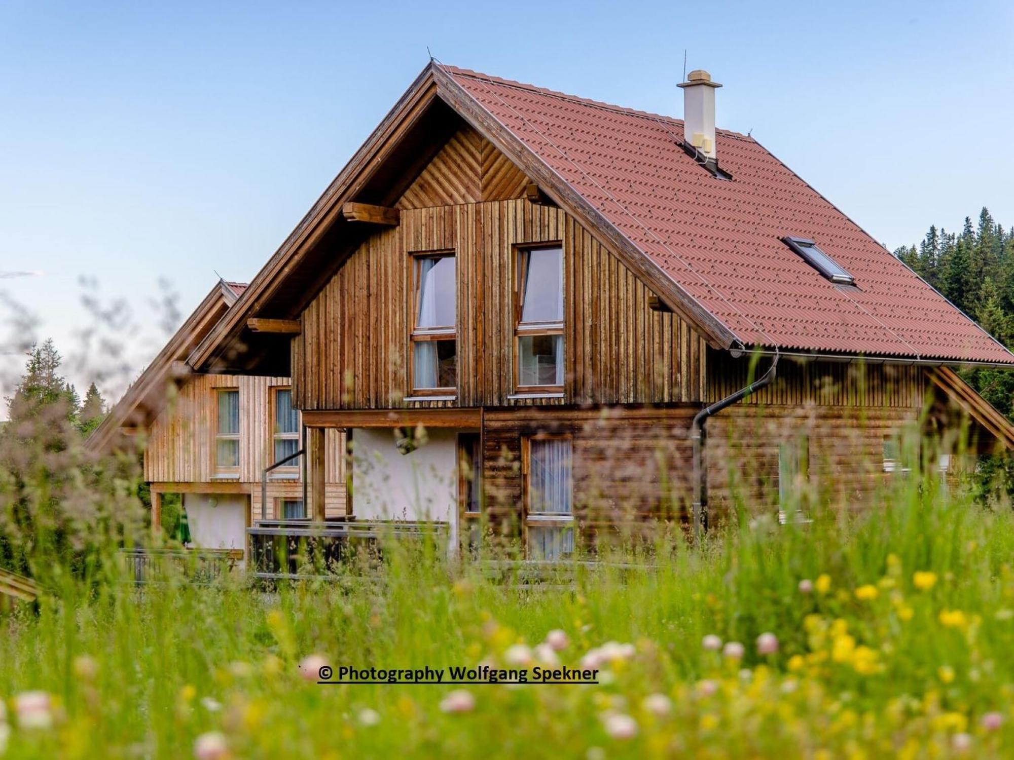Posch Alpe Beautiful Holiday Home In Weinebene With Sauna מראה חיצוני תמונה