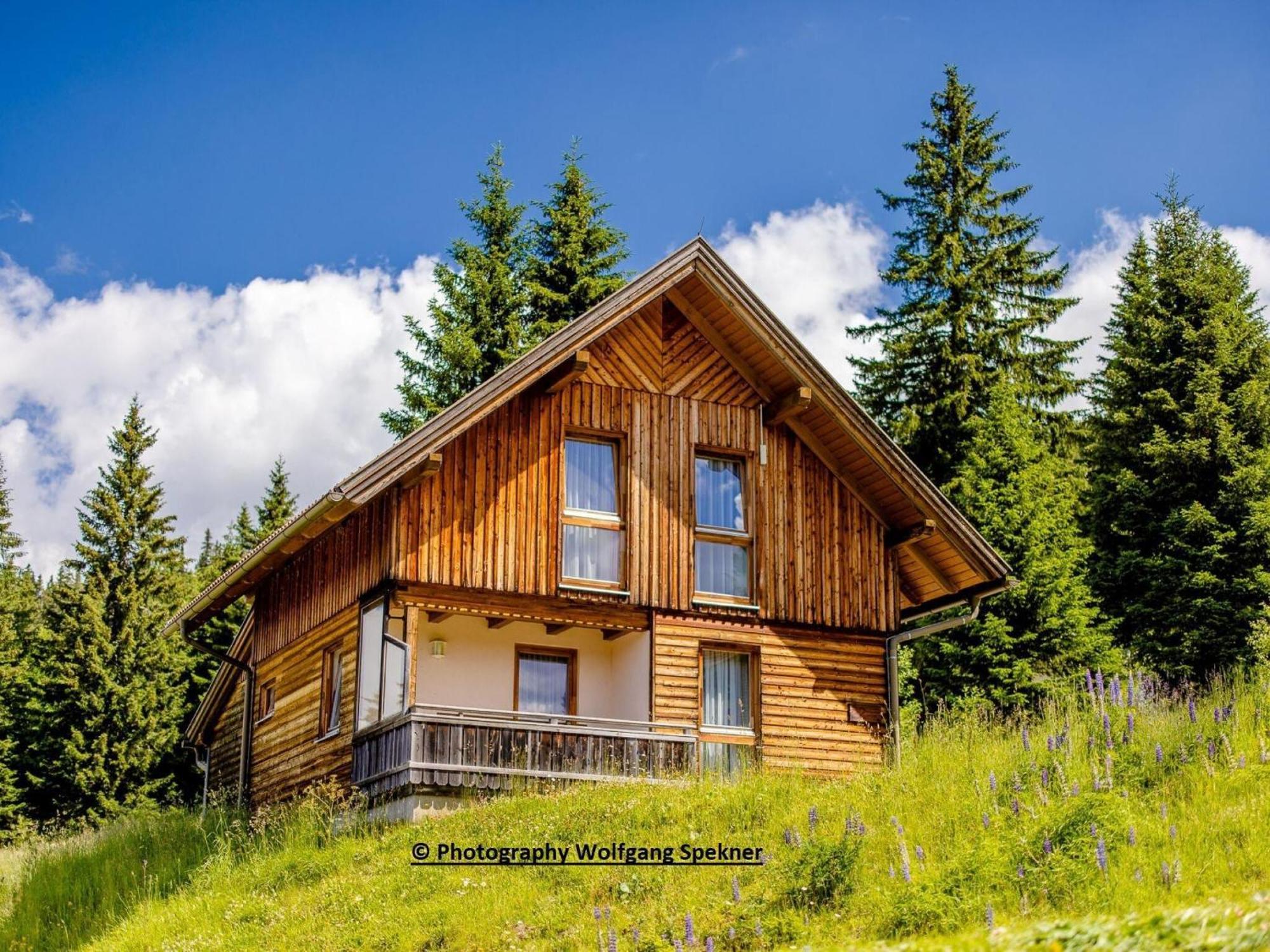 Posch Alpe Beautiful Holiday Home In Weinebene With Sauna מראה חיצוני תמונה