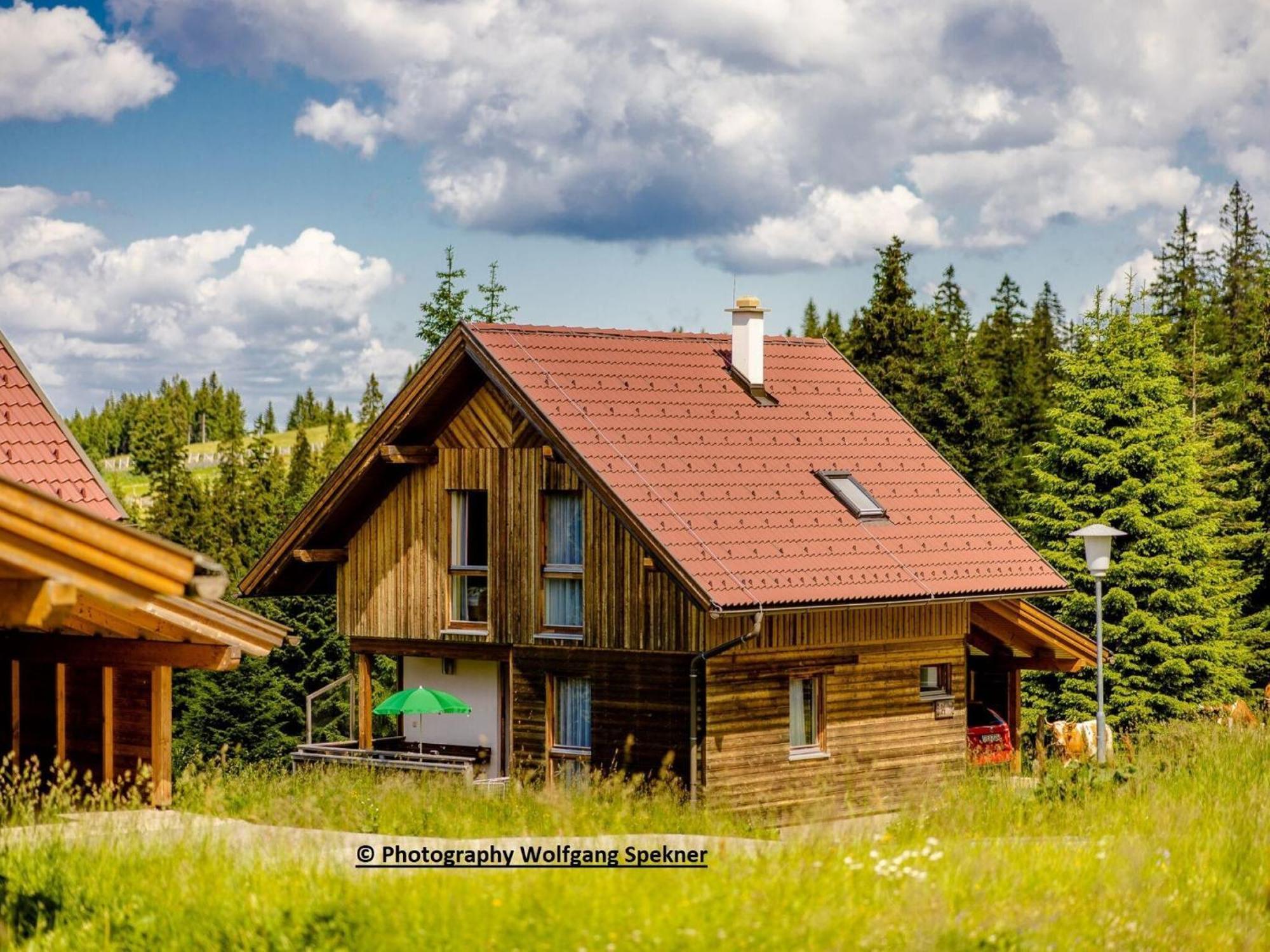 Posch Alpe Beautiful Holiday Home In Weinebene With Sauna מראה חיצוני תמונה