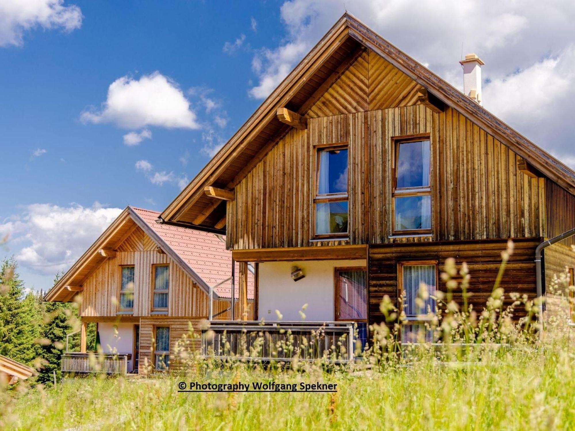 Posch Alpe Beautiful Holiday Home In Weinebene With Sauna מראה חיצוני תמונה