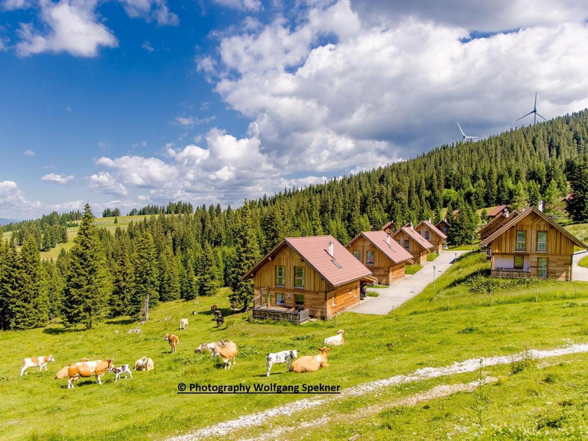 Posch Alpe Beautiful Holiday Home In Weinebene With Sauna מראה חיצוני תמונה