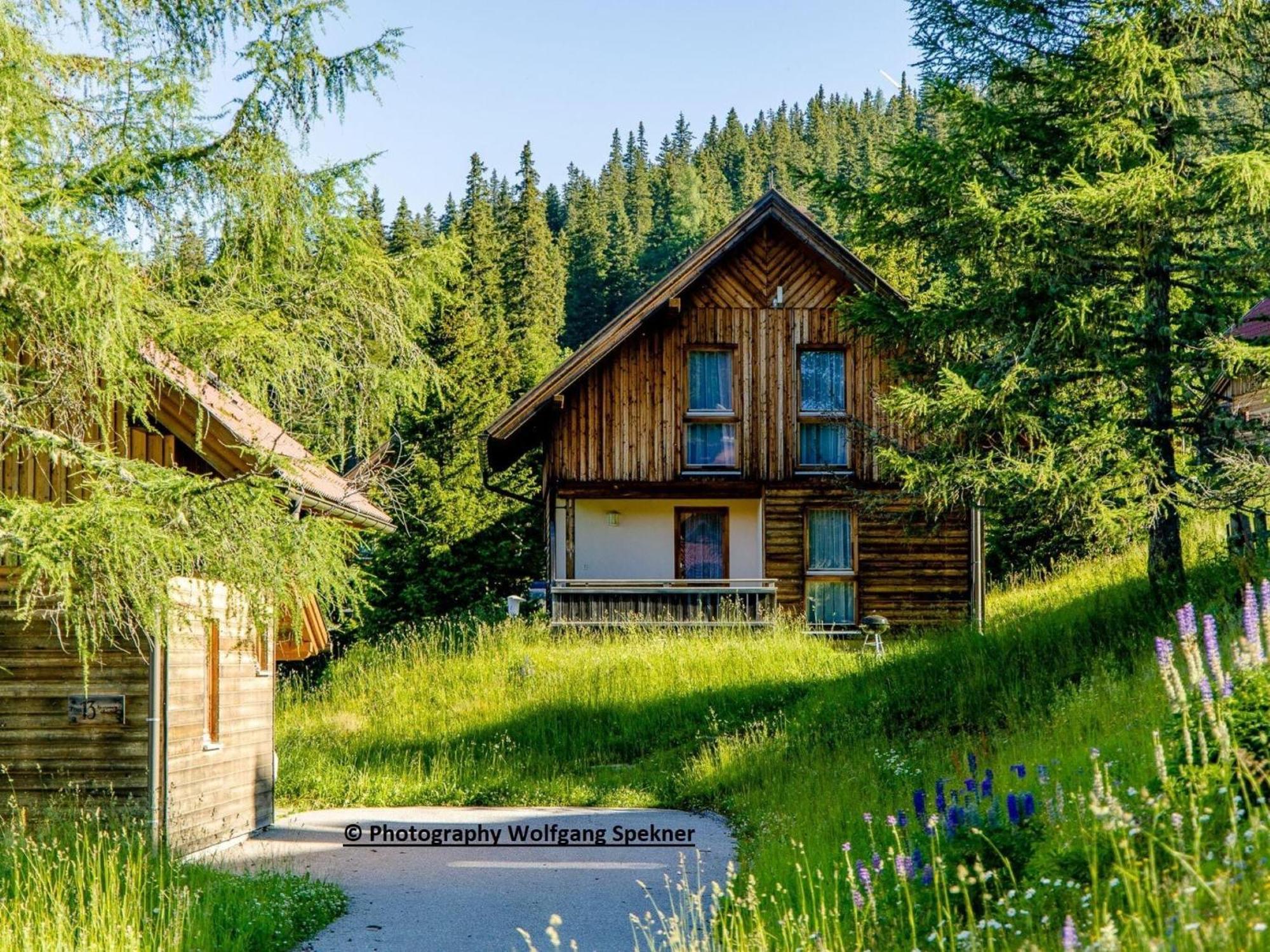 Posch Alpe Beautiful Holiday Home In Weinebene With Sauna מראה חיצוני תמונה